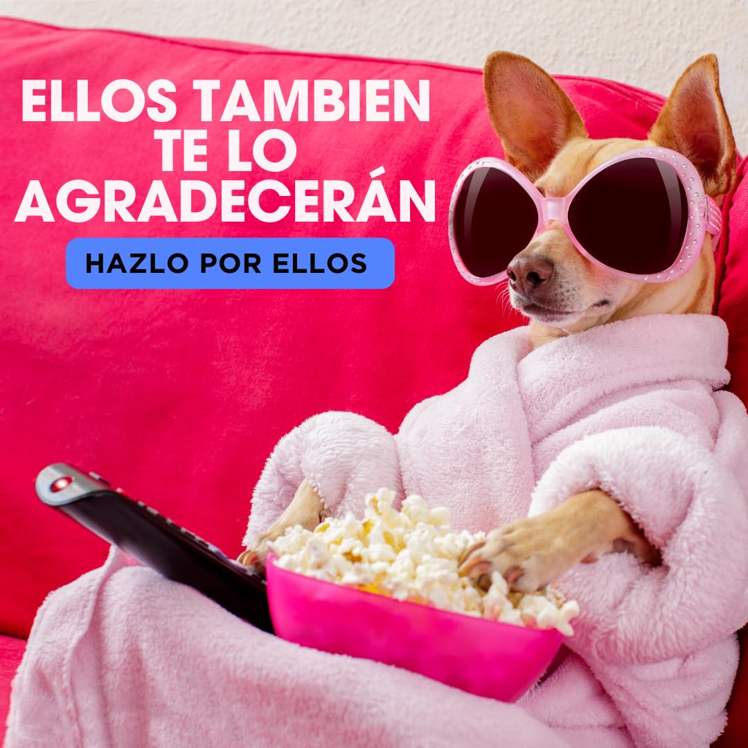 Fregasuelos Concentrado 5 Litros pH Neutro Aroma Flor de Lotto Brillo e Higiene