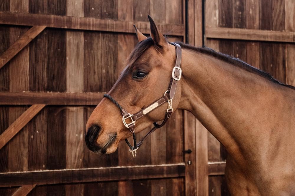Kentucky - Halfter Full - Brown - Leder
