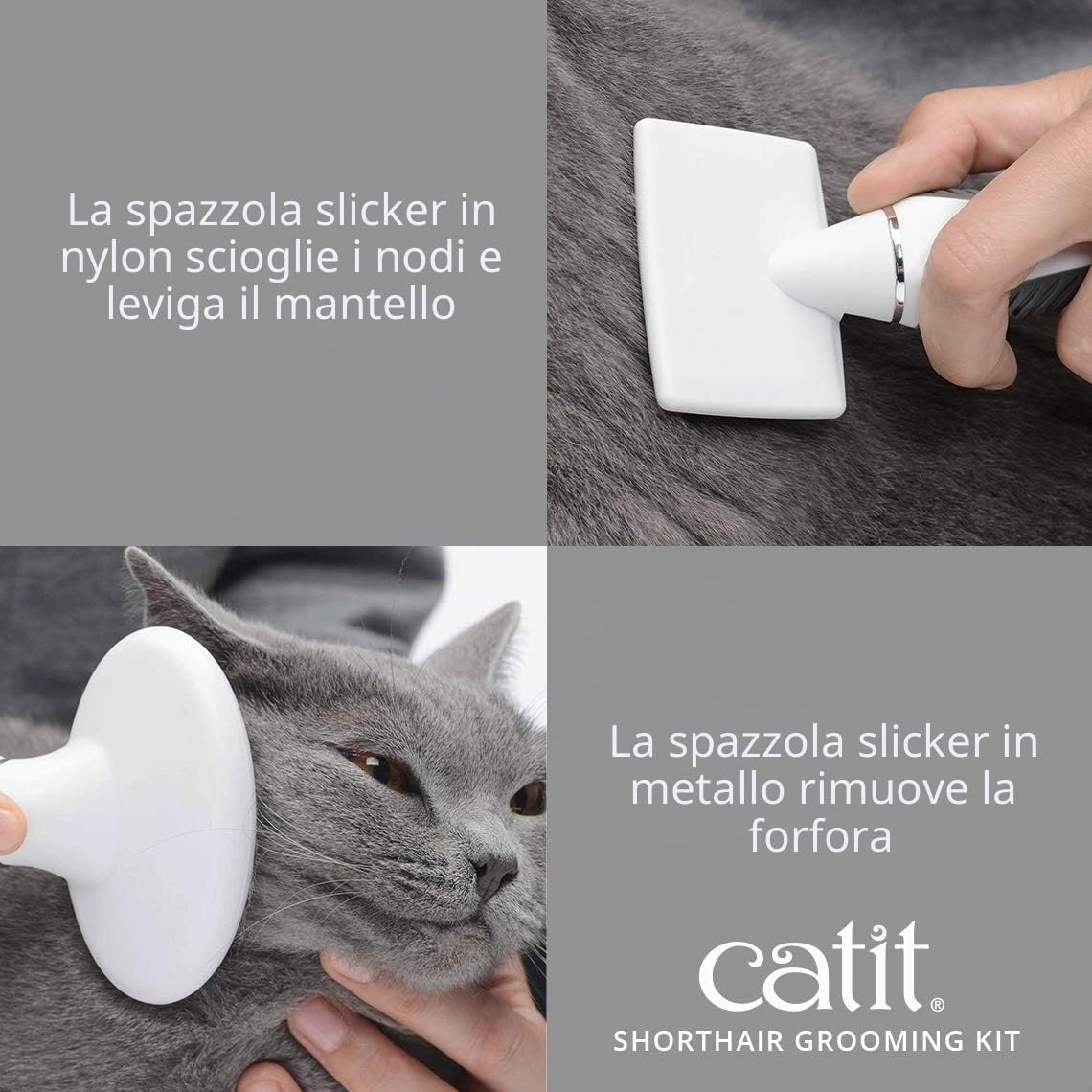 Catit Set di Spazzole per Gatti a Pelo Corto