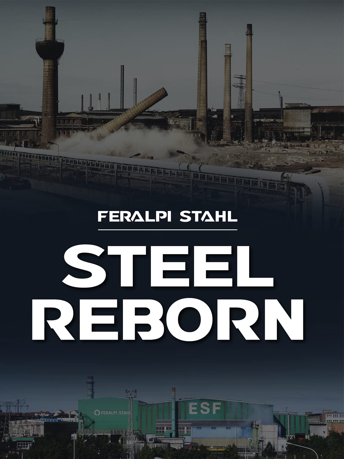 Feralpi Stahl - Steel Reborn