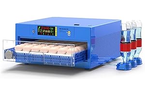 56 Egg Incubator: A Comprehensive Poultry Hatching Solution