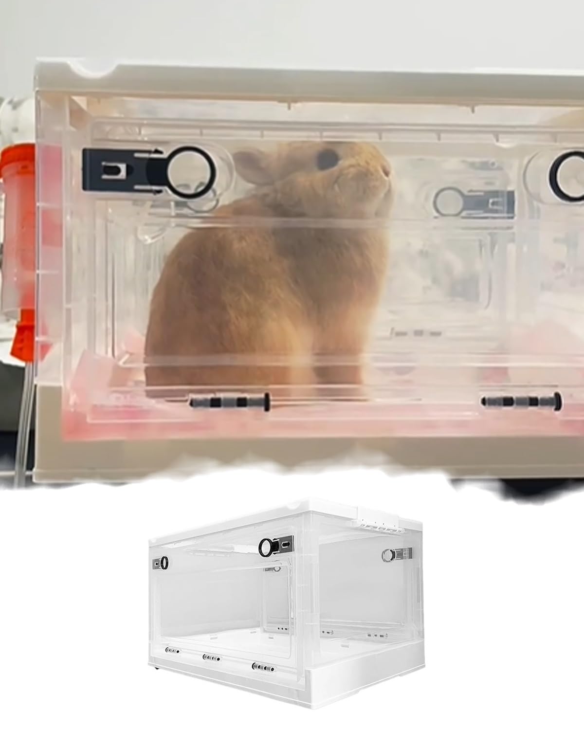 Caja de lactancia plegable para cachorros y gatitos con tubos de atomización