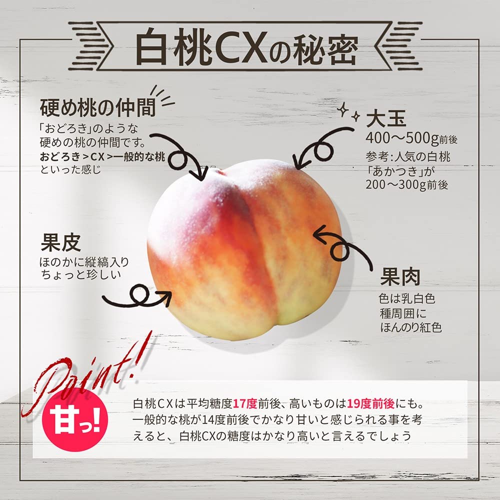 Amazon.co.jp: 山形県産 白桃 CX (シーエックス) 秀品 約2.5kg 硬い桃