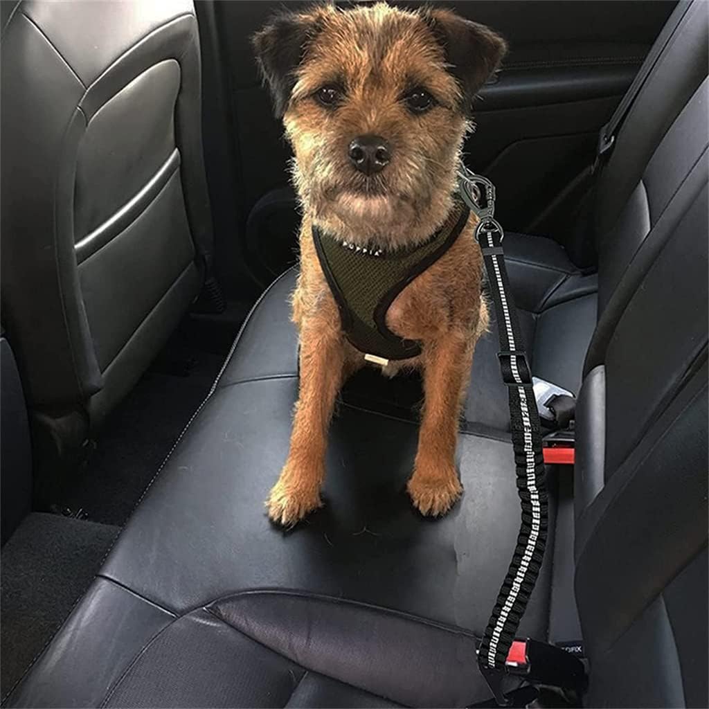 Adjustable Dog Harness Reinforced Carabiner Elastic Bungee 2 in 1 Pet Car Travel image 3