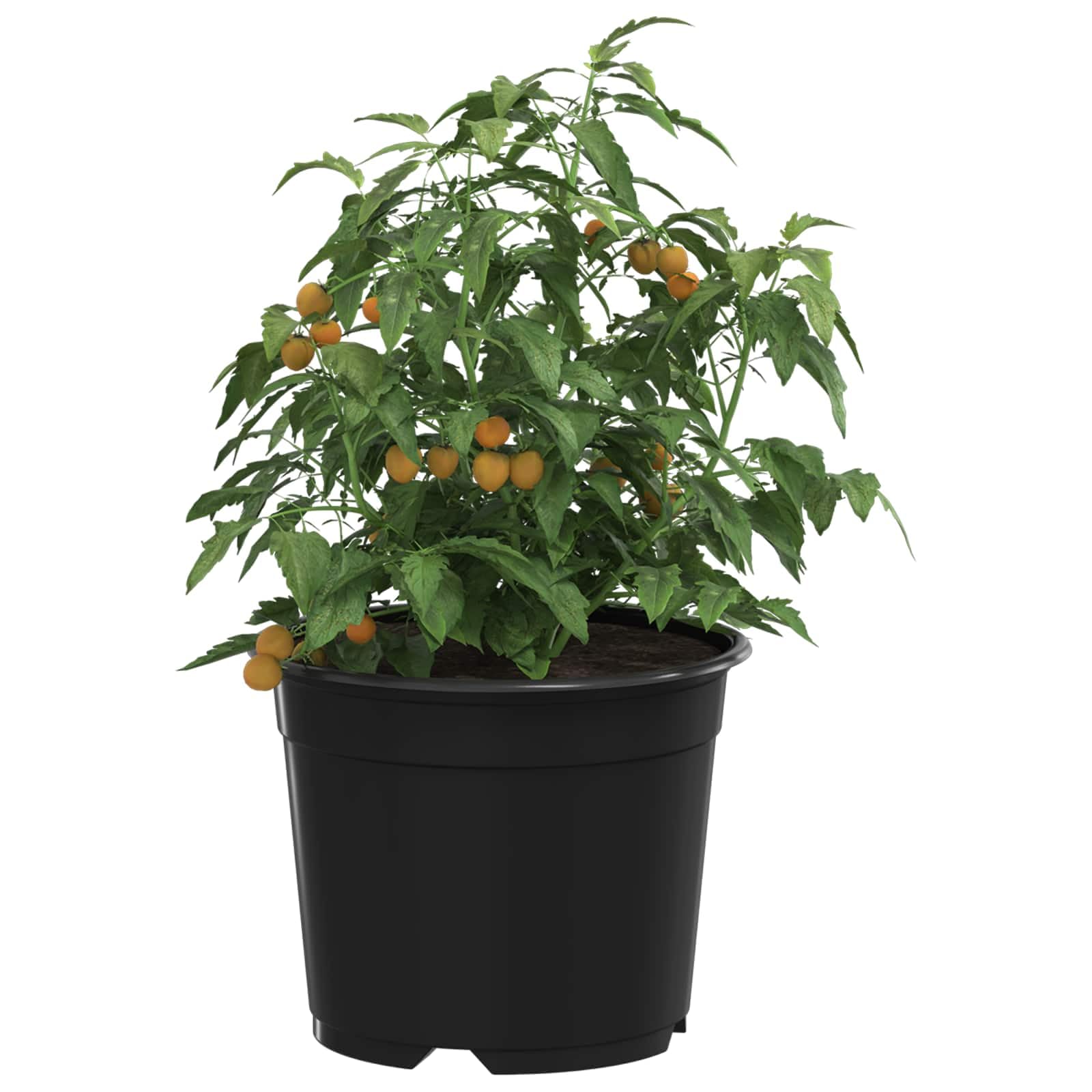 Lot de 200 Pots de Fleurs en Plastique Noir Ø 10 cm, Godets de Culture avec Trous de Drainage pour Semis, Bouturage et Plantes d'Intérieur ou Extérieur, Design Cylindrique Léger