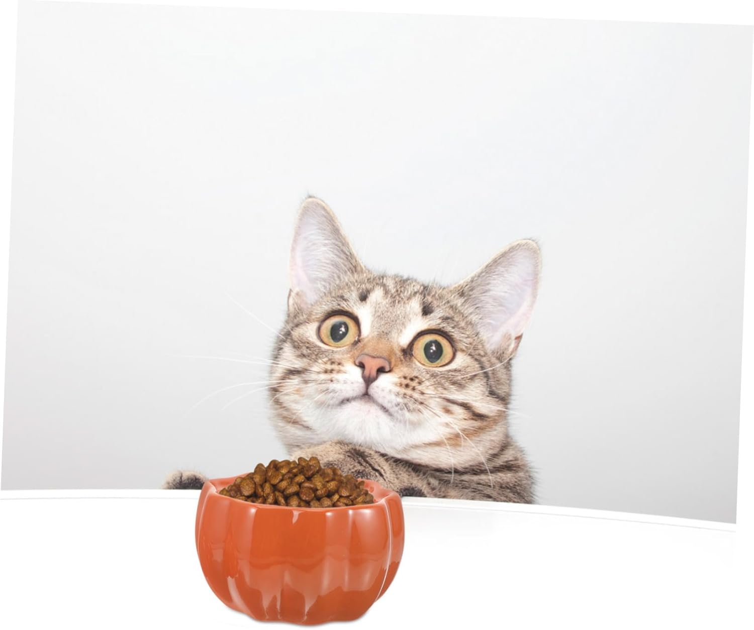 Pet Food Container Ceramic Cat Dog Bowl Pumpkin Shape Comfortable Height Sturdy Easy Cleaning