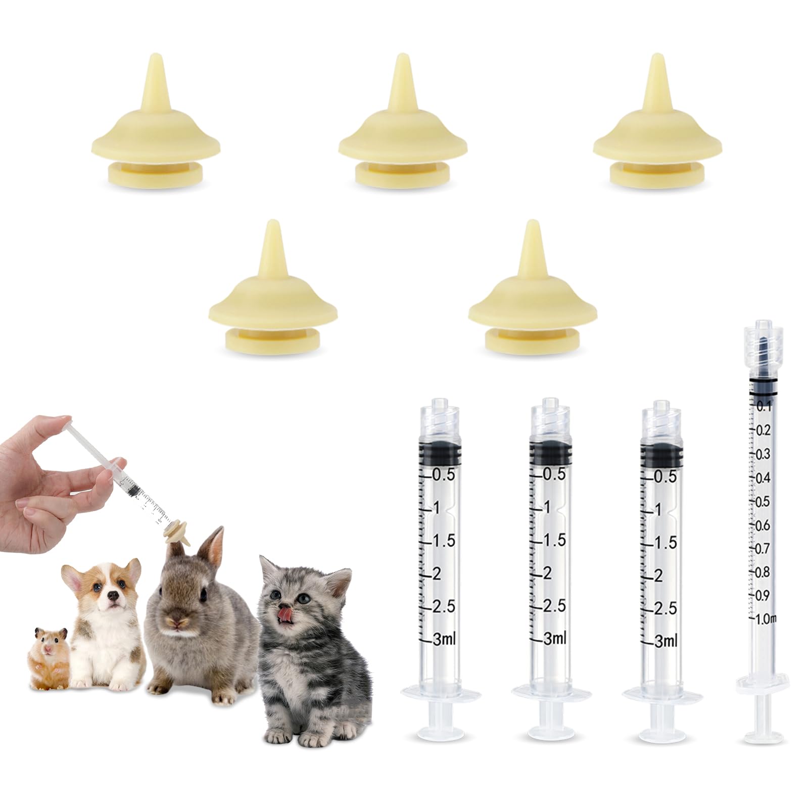 Cats What To Feed Orphaned Kittens Eating What Do You Feed