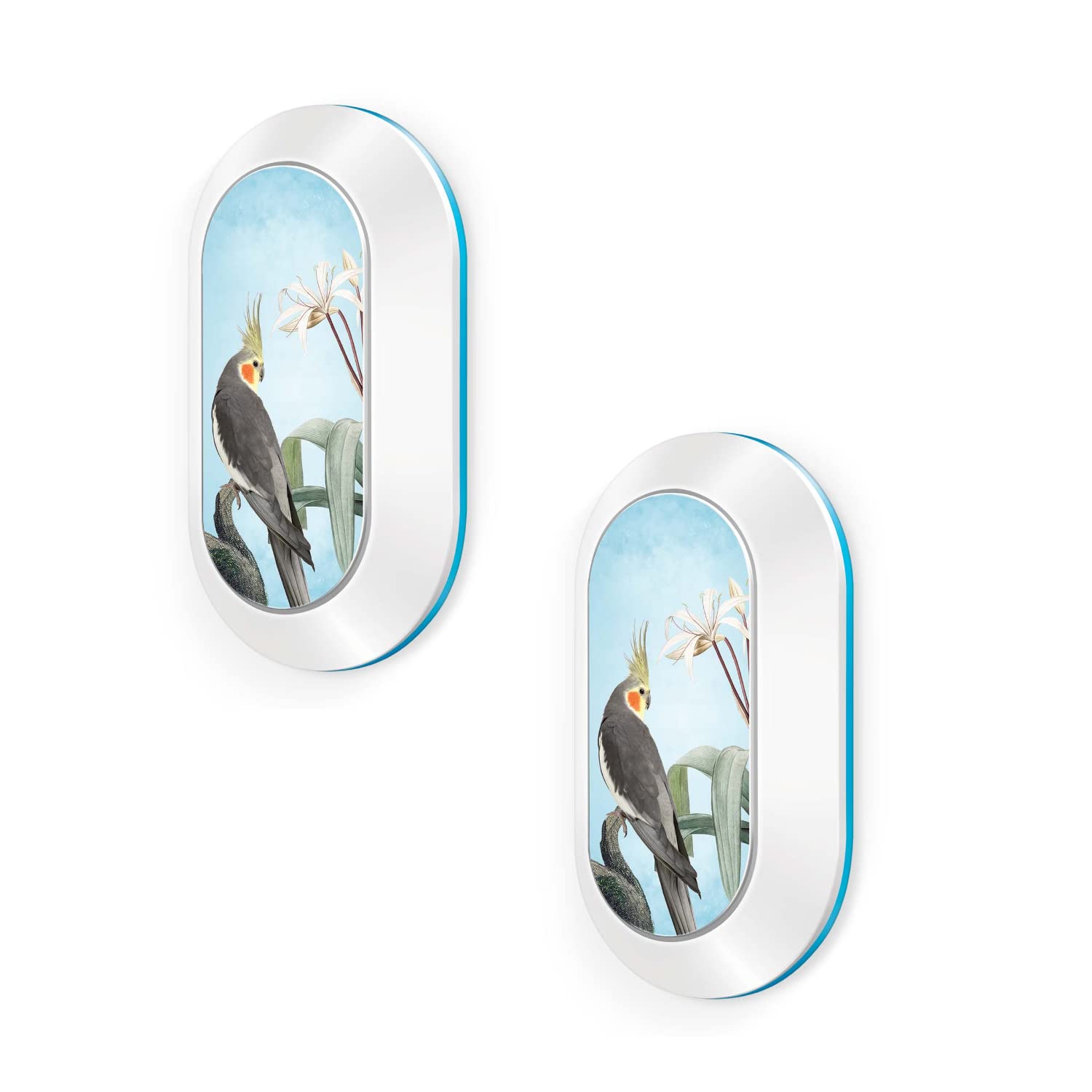 Anchor by Panasonic Bulbul Door Bell for Home and Office (Pack of 2, White) (B0BZPQ5JS4) Amazon Price History, Amazon Price Tracker