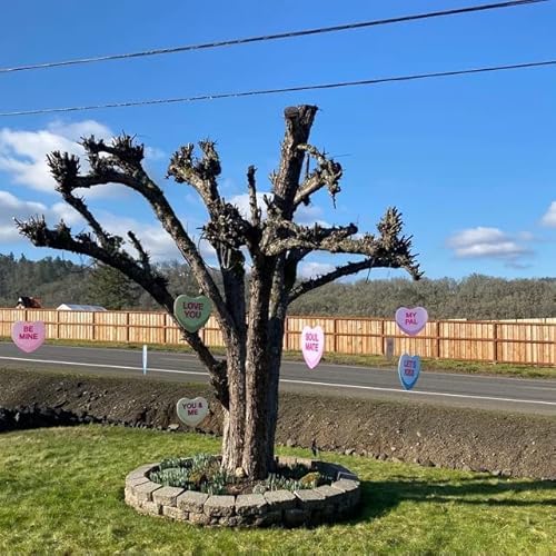 Victorystore Valentine's Yard Decorations Hanging Candy Hearts, Outdoor Valentine's Day Decorations, 12372 Set Of 9 Corrugated Plastic Hearts #TOP3