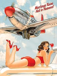 YYN Vintage Tin Sign Airplane Pinup