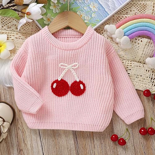 Toddler Cute Print Crochet Tops Ribbed Knitted Long Sleeve Sweaters Kids Crewneck Warm Fall Winter Pullover2