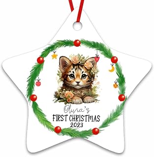Dinoz Tiger Animal First Christmas Ornament, Animal Lovers Santa Claus Décor Custom Name Tree Hanging Decorations Two Sides Print Ceramic Star Ornament Keepsake Gifts for Home
