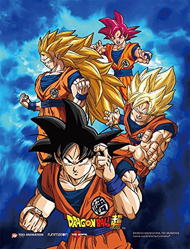 Dragon Ball Super Goku 3D Lenticular Wall Art Poster with Frame Dragon Ball Super Goku 3D Lenticular Wall Art Poster with Frame