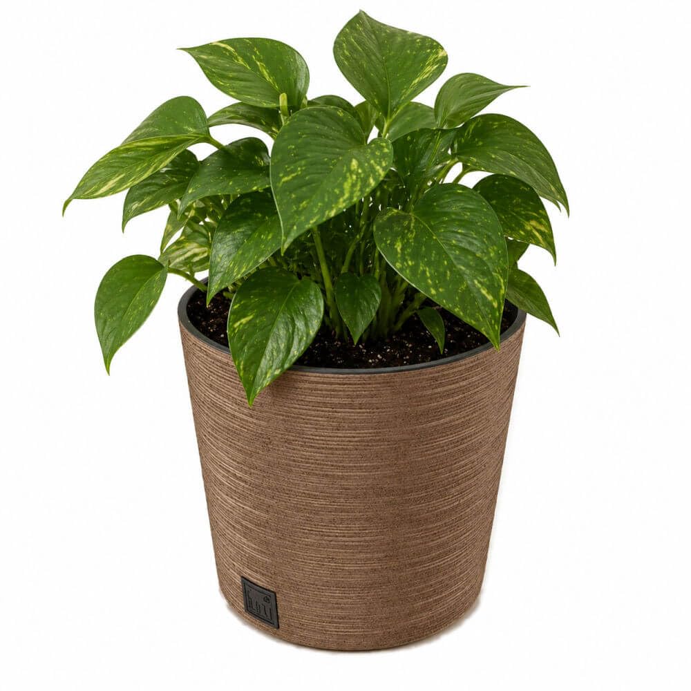 Gardening Naturally Fora Flowerpots, Stylish and Durable Plant Pots for Indoor and Outdoor Use (Round Pot 30cm - Natural) — image 1
