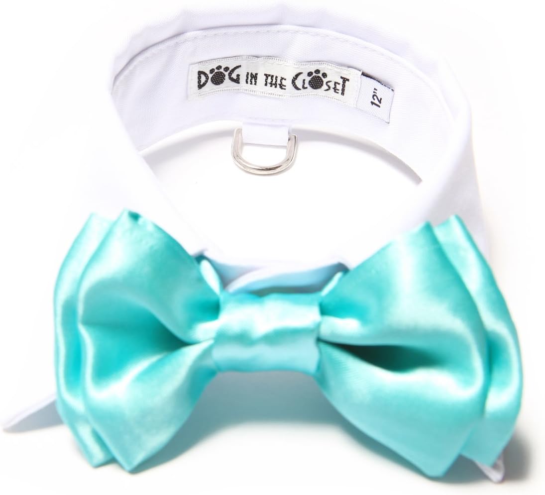 White Shirt Dog Collar with Aqua Blue Bow Tie 16"