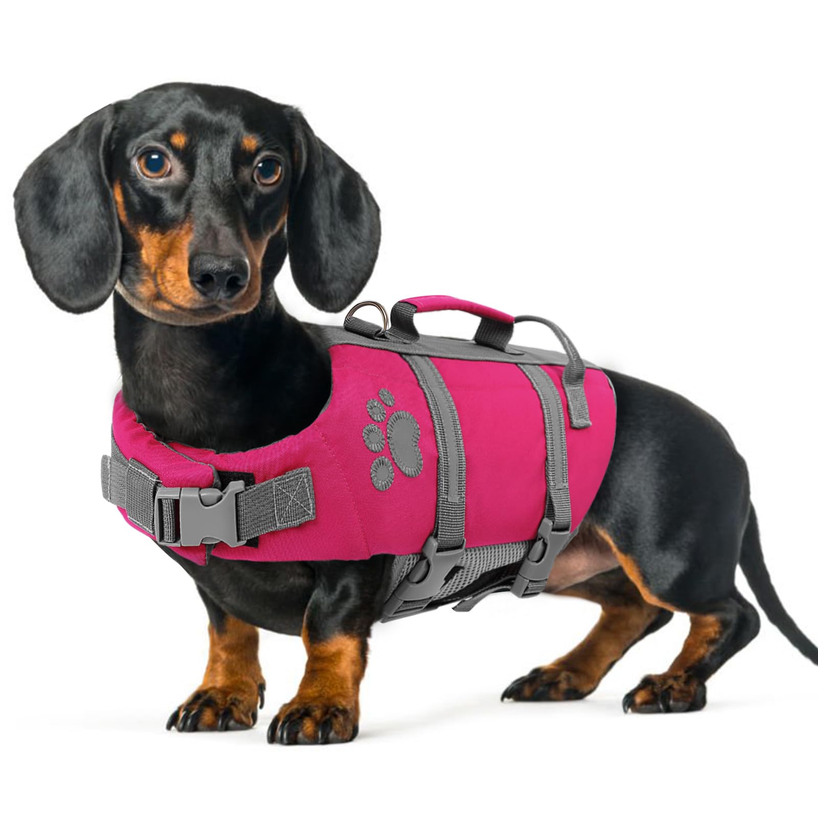 Queenmore Schwimmweste Hund XS, Reflektierende Hunde Schwimmweste, Verstellbar Hundeschwimmweste, Rettungsweste Für Hunde Mit Griff, Schwimmweste Chihuahua, Life Jacket Schwimmweste Kajak, Rosa, XS