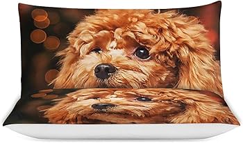 Amazon｜3点セット プードル 犬柄 萌え萌え(1) 布団カバー 掛け布団