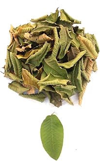 Li6 ®™ Pure Dry Guava Leaves 100 Grams - Payara, Peroo, Pijuli, Jam Phal, Amrood Ke Ped Ki Sukhi Patti, Patte, Patta - Guava Dried Leaf