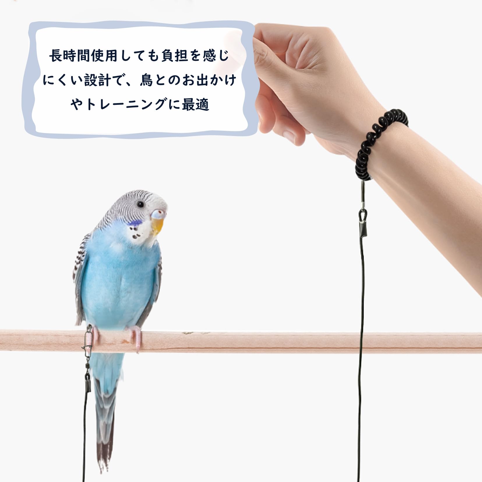 Amazon | 鳥 リード 鳥用ハーネス 鳥の飛行ロープ オウムハーネス 鳥
