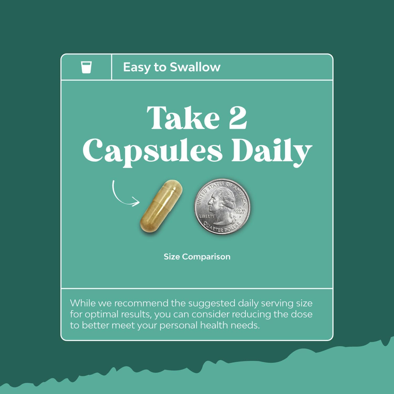 Enhance Brain Memory + Boost Focus + Improve Clarity Mind Booster Supplement For Men And Women - Contains Pure St John Wort + Potent Ginkgo Biloba - Natural Cognitive brain Nutrition By Bio Sense