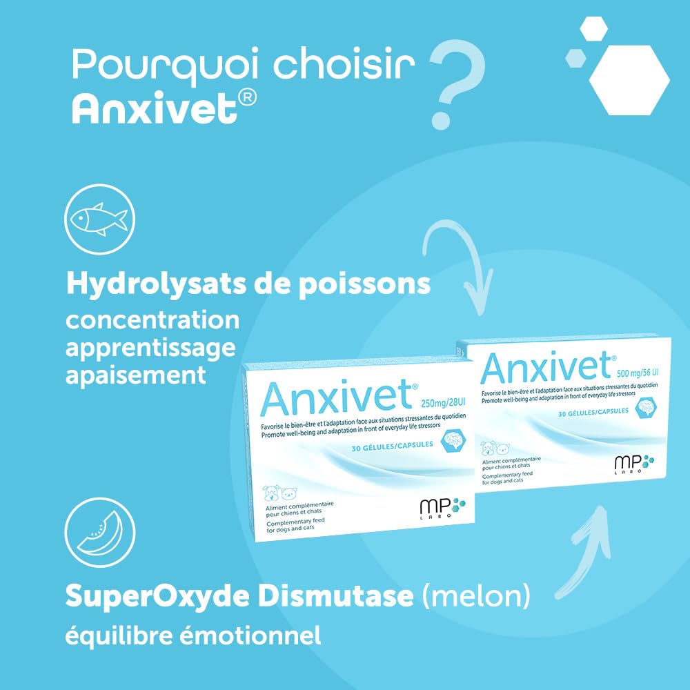 MP Labo Anxivet® - Favorise Le Bien-être et l'Adaptation Face aux Situations Stressantes du Quotidien pour Chien et Chat (500 MG 56 UI 30 gélules)