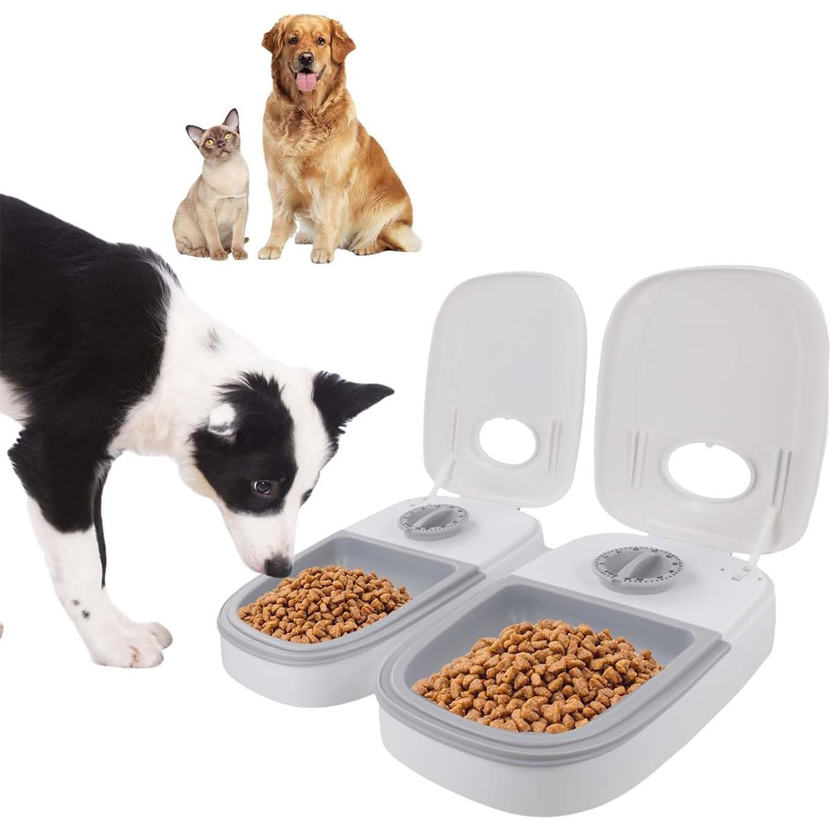 Distributeur automatique de croquettes et d'aliments humides pour chats et petits chiens, 2 repas, capacité 700 ml, minuterie, double bol, gris.