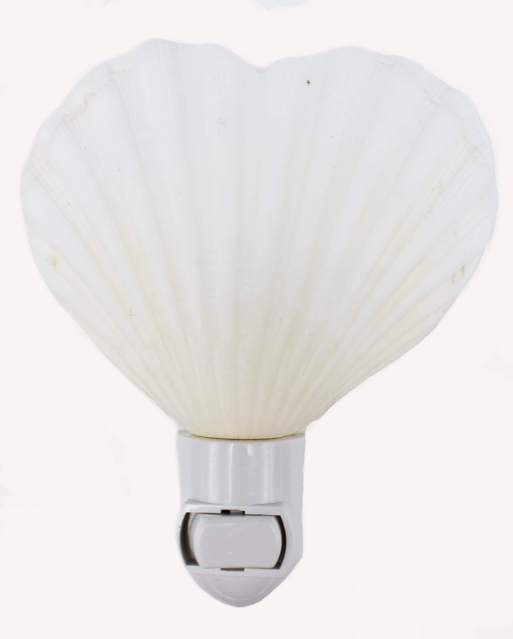 Seashell Night Light Real Heart Shaped Scallop Shell Beach Decor w. on/Off Switch Beautiful Coastal Cottage