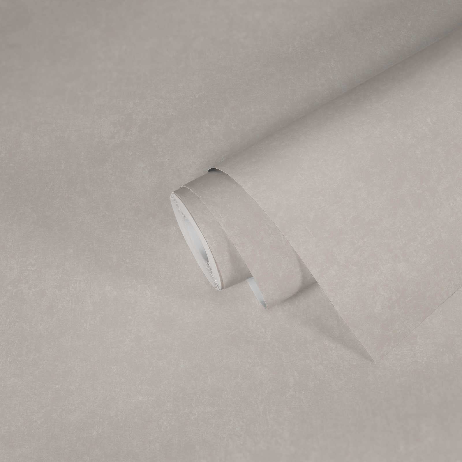 Papier peint intissé gris clair A.S. Création WTD 385947 pour mur de salon en rouleau 10x0,53m