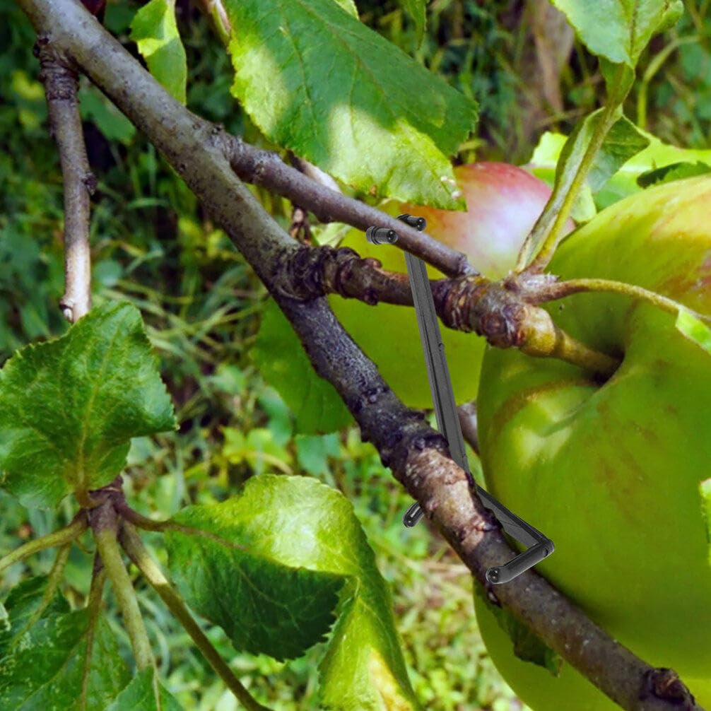 ARTIBETTER 40pcs Fruit Tree Branch Pressing Tools Limb Spreaders for Fruit Trees Tree Branch Spreaders for Fruit Trees Tree Limb Spreaders Adjustable Plastic Branches