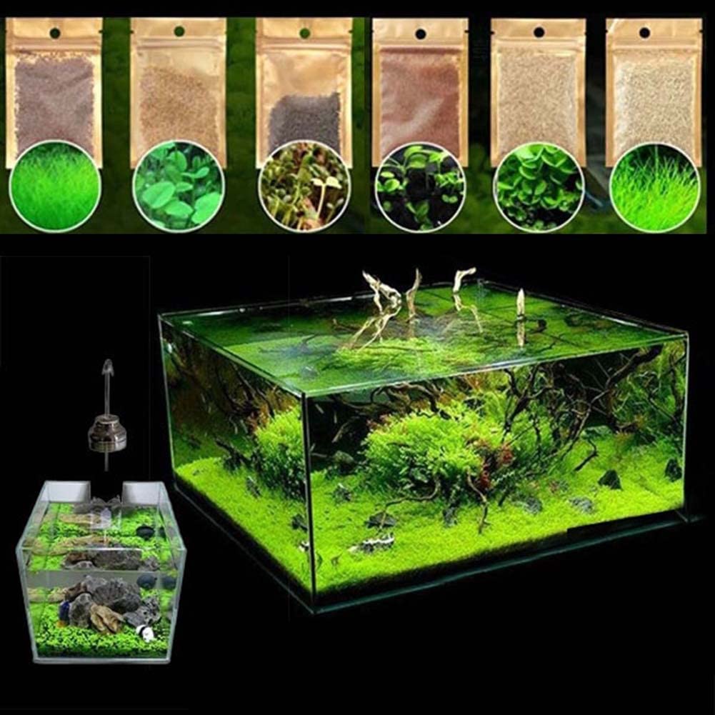 Haloppe 600Pcs Acqua Erba Fiori Piante Semi per la casa Giardino Piantare, Acquatici Acqua Erba Semi di piante Serbatoio di pesce Acquario Paesaggio Decorazione Semi di erba acquatica