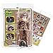 Batman Classic TV Series Action Figures Series 4: Set of all 4