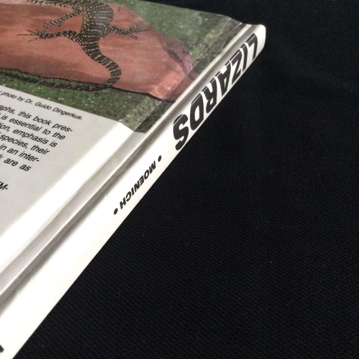 Amazon.co.jp: 爬虫類 洋書 英語 図鑑 トカゲ ヤモリ Lizards