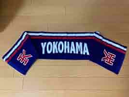 祝 激レア 新品 横浜高校 硬式野球部 マフラータオル トリコロール Yahoo!オークション - 横浜高校マフラータオル（トリコロール