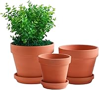 Yishang Set of 3 Terracotta Clay Planter Pots with Drainage Holes & Saucers - 6, 7, 8 Inch for Succulents, Herbs, Indoor Outdoor Plants