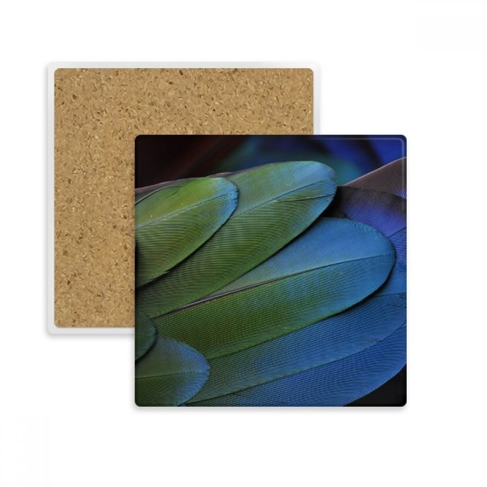 Porte-tasse en pierre absorbante motif plumes d'oiseaux pour cadeau