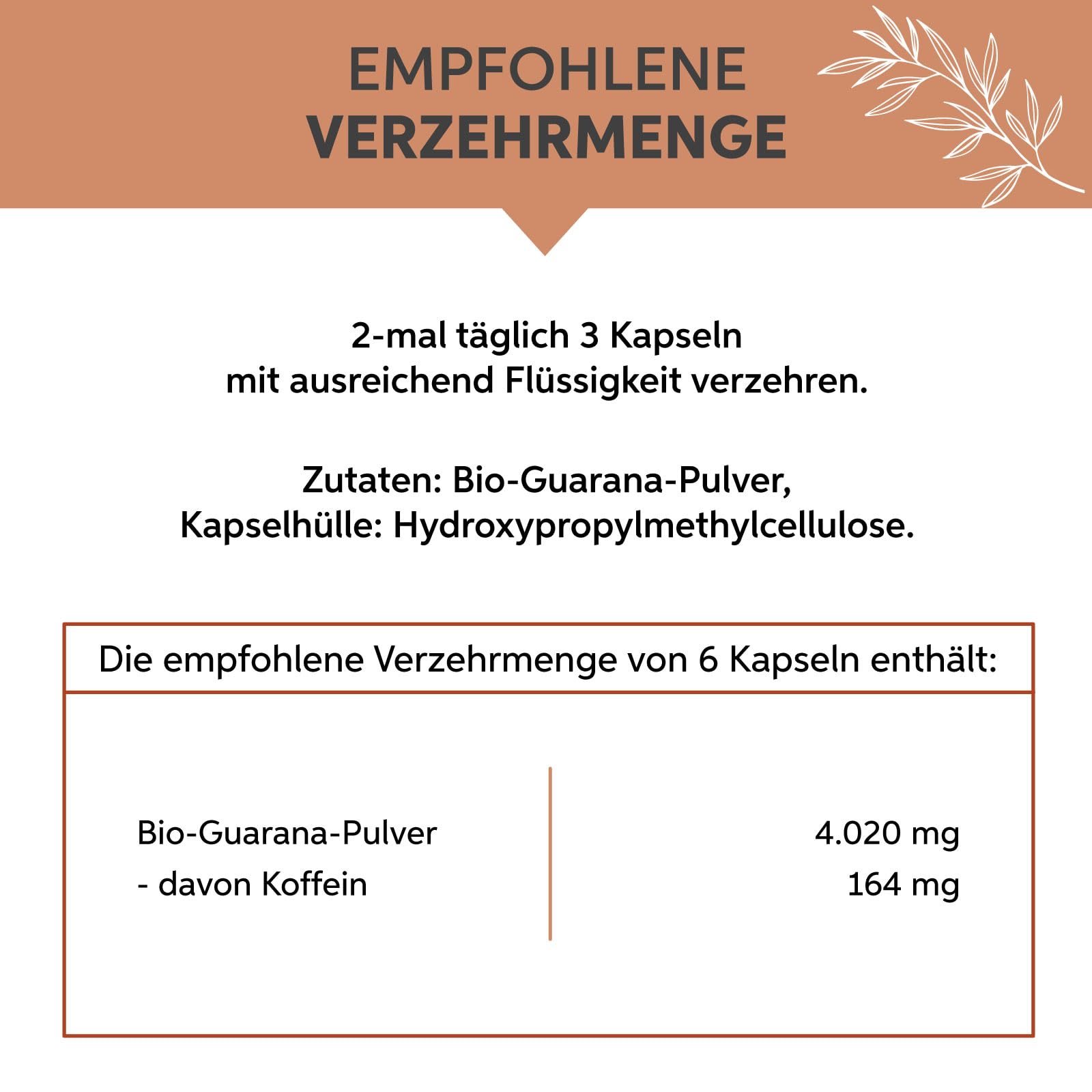 Bio Guarana Kapseln 500 Stück aus Brasilien | Hochdosiert 4020mg Tagesdosis | Natürliches Koffein in Premium Rohkost-Qualität als Kaffee Ersatz | 100% rein und ohne Zusätze