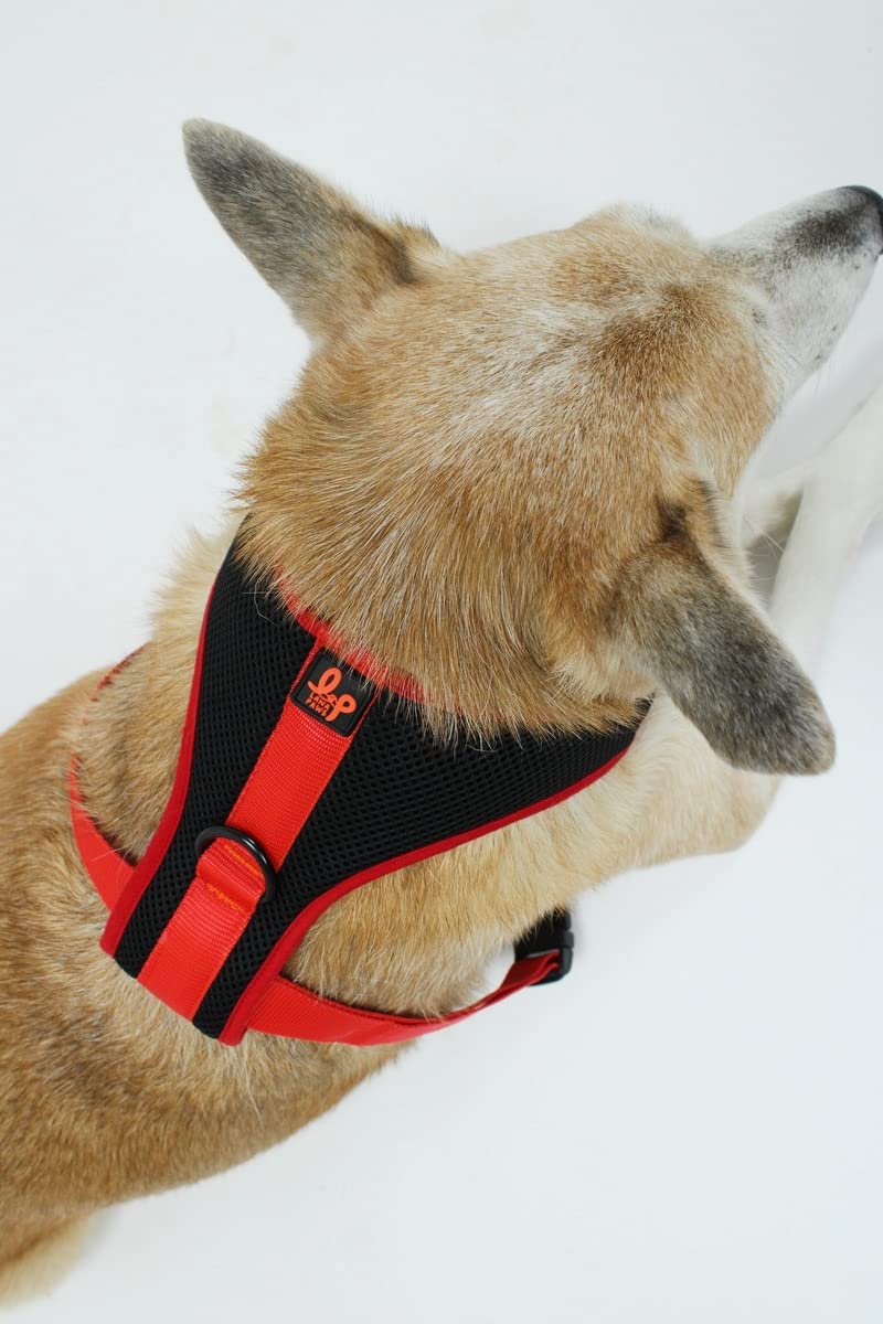 Lana Paws Breathable, Comfortable & Sturdy Mesh Harness for Dogs, M, Black (B0BB24CS3P) Amazon Price History, Amazon Price Tracker
