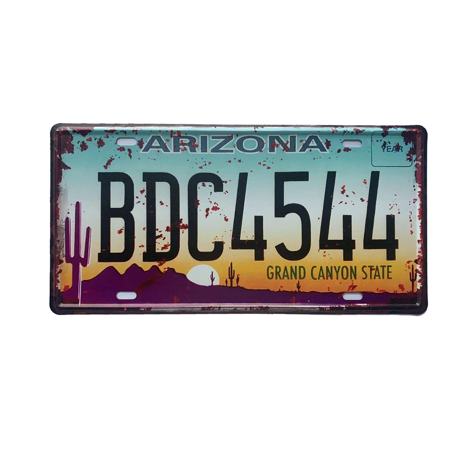 Amazon.com: Arizona License Plate Aluminum Novelty Car Decor