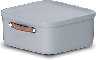 Rotho Maloja Storage Box 20 L, Plastic, Light Blue, 12 (39.5 x 38.0 x 17.7 cm)