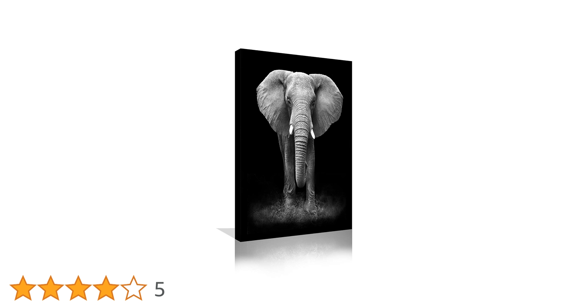 Amazon.co.jp: ブラックとホワイト 象 ウォールアート モダンアニマル