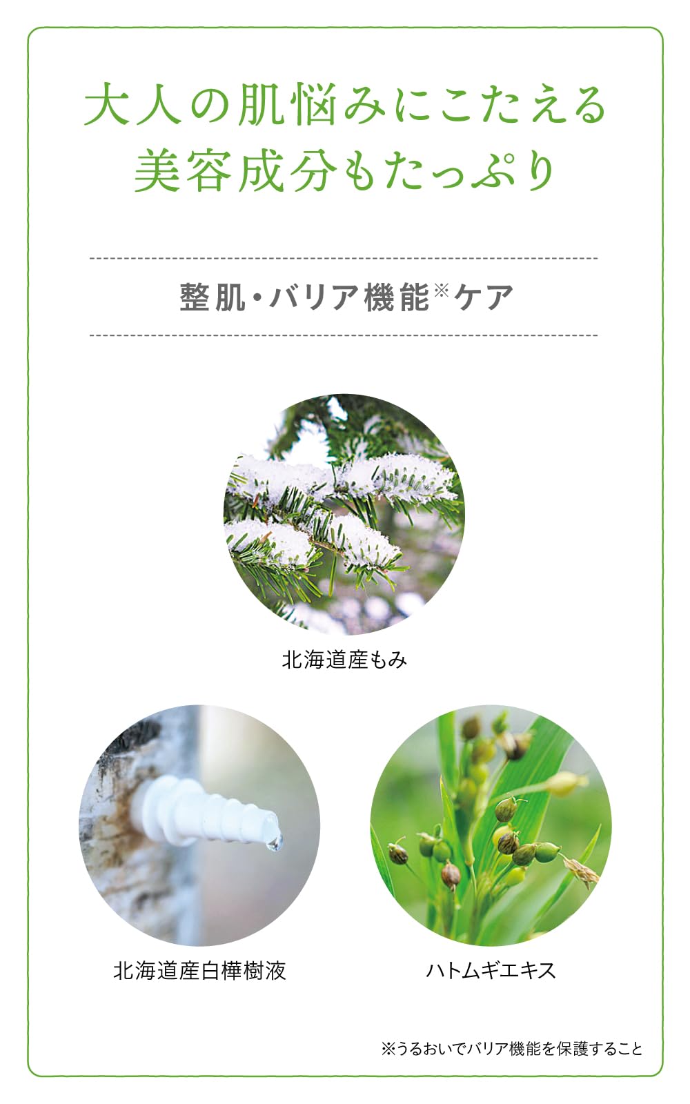 Amazon | ナチュラルアイランド アロマバスエッセンス もみとヒノキ