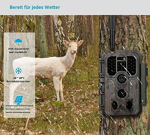 Meidase S950 4G LTE Wildtierkamera, 32MP 1296P, 30m Nachtsicht, 0.1s Bewegungserkennung, IP66...