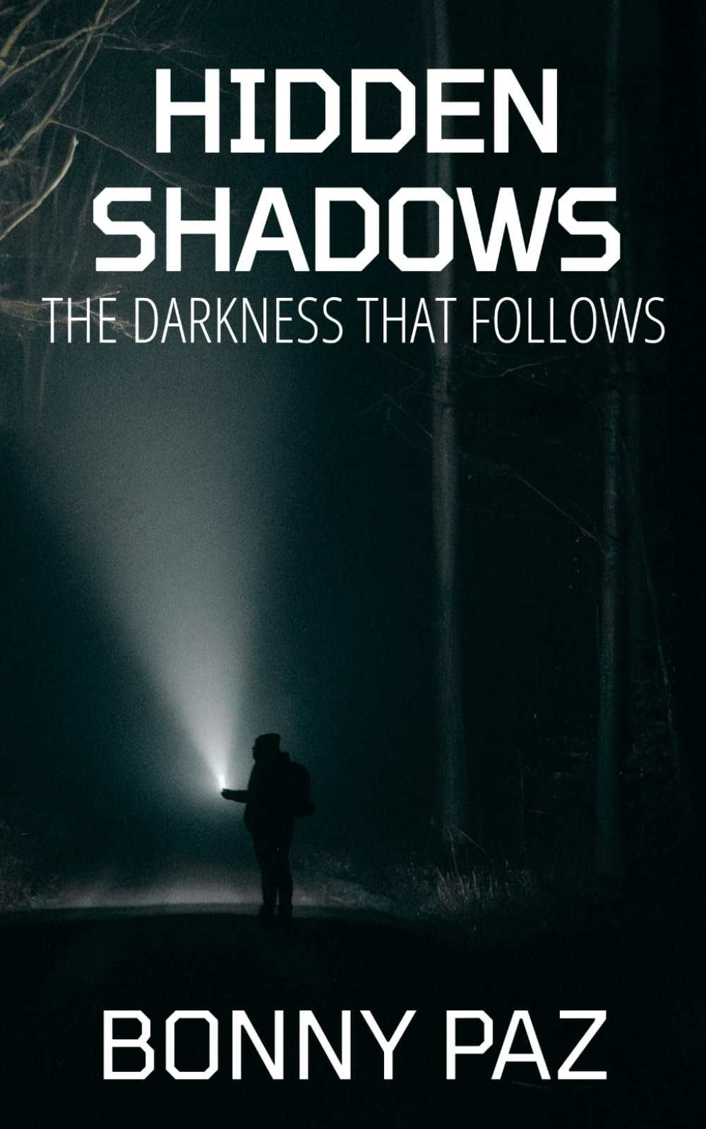 Hidden Shadows: The Darkness That Follows (The Hidden Duology)