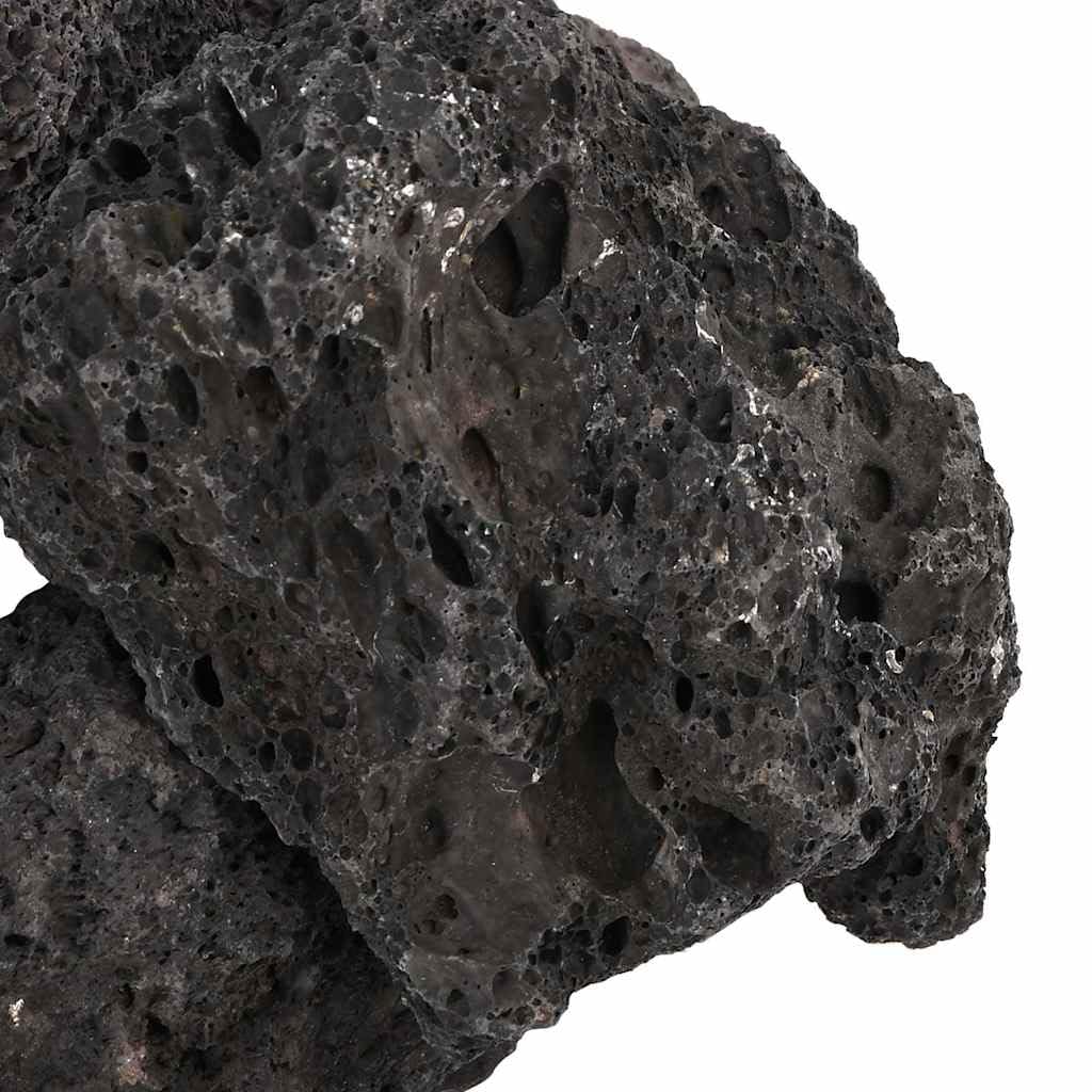 Vulkanische Lavasteine 10 kg Schwarz, natürlicher biologischer Filter für Aquarium, Lavagranulat 10-30 cm, verbessert Wasserqualität und Sauerstoffgehalt, für Süß- und Salzwasser