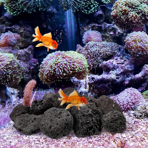 Image of FOMIYES 2 Pack of Natural Lava Rocks for Aquariums and Potted Plants, Small Volcanic Stones for Decorative Use, Ideal for Landscaping and Drainage