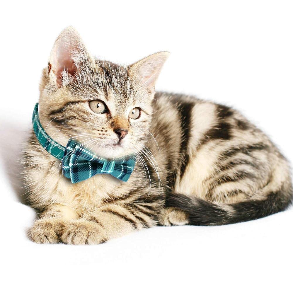Amazon | 犬用首輪可愛い 蝶ネクタイ ねこ首輪 猫と一部の子犬用の蝶
