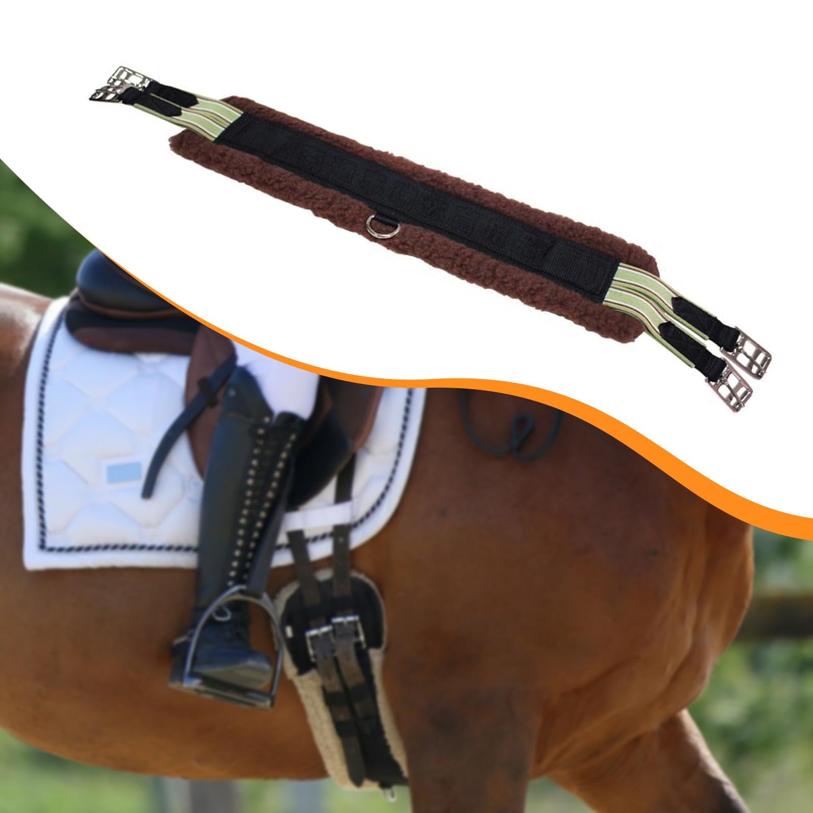para Caballo, para Caballo, Hebilla Ligera de Acero Inoxidable, Corta de Clásica para Montar, Entrenamiento Y Clases de Club