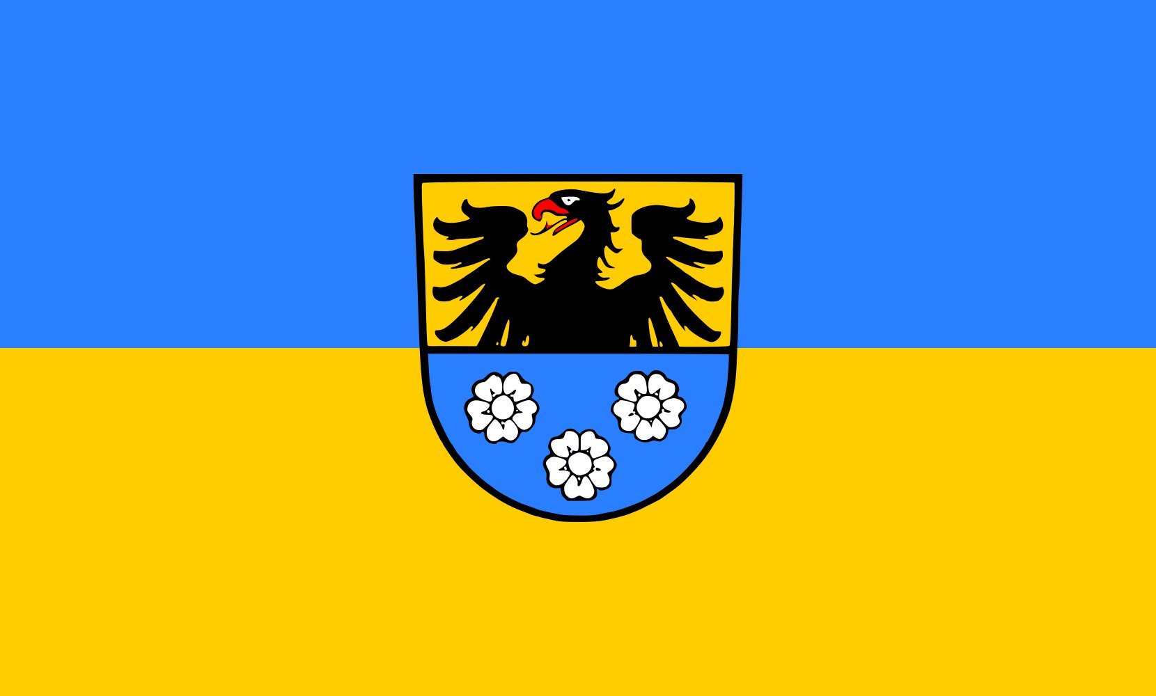 Drapeau Wertheim paysage 90x150cm pour remplacer votre pavillon usé