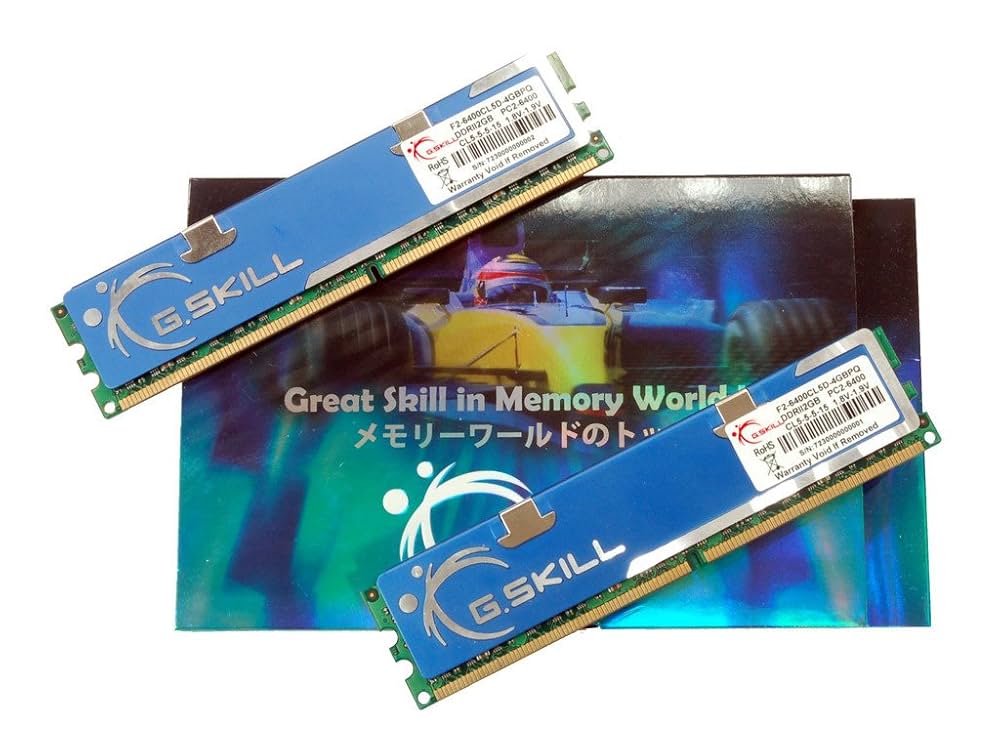 PCパーツ G.Skill DDR2 4GB PC 800 CL5 KIT (2x2 wgteh8f G.Skill 4GB Kit DDR2 PC2-6400 CL5 (F2-6400CL5D-4GBPQ) ab 49