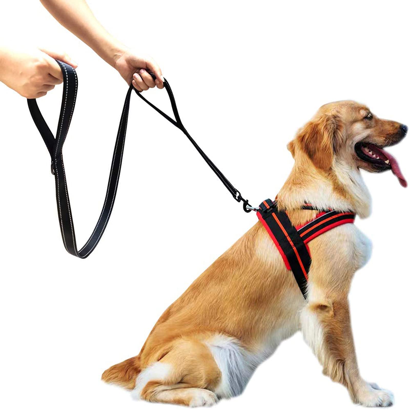 Laisse de Dressage à Double poignée de 1,5 mètre, contrôle de proximité, Laisse de sécurité pour Chiens de Grande et Moyenne Taille, Design réfléchissant